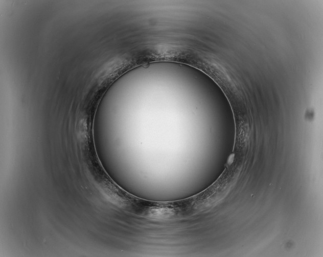 X0000098230220200804241348