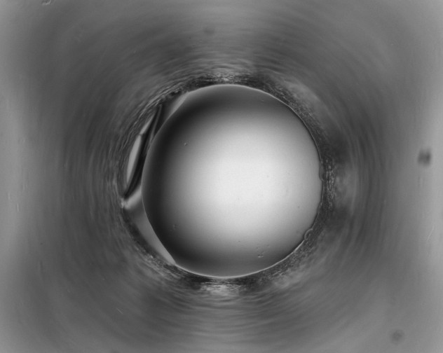 X0000098230221200804241348
