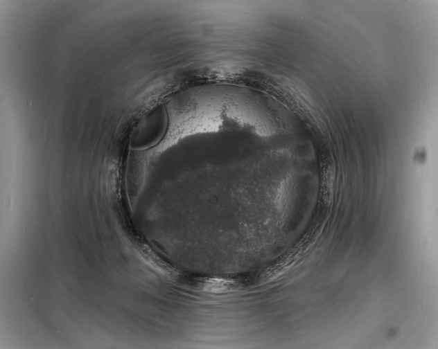 X0000098230222200804241348