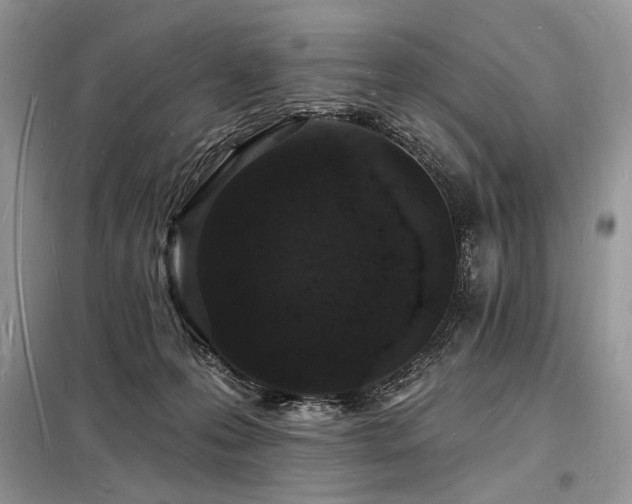 X0000098230223200804241348