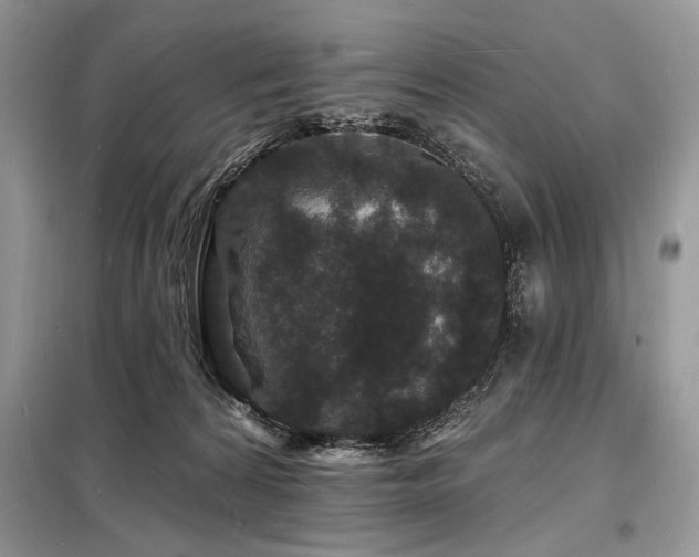 X0000098230224200804241348