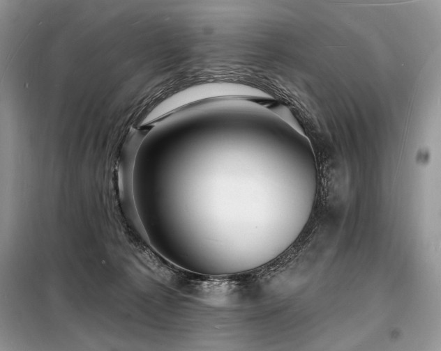 X0000098230225200804241348
