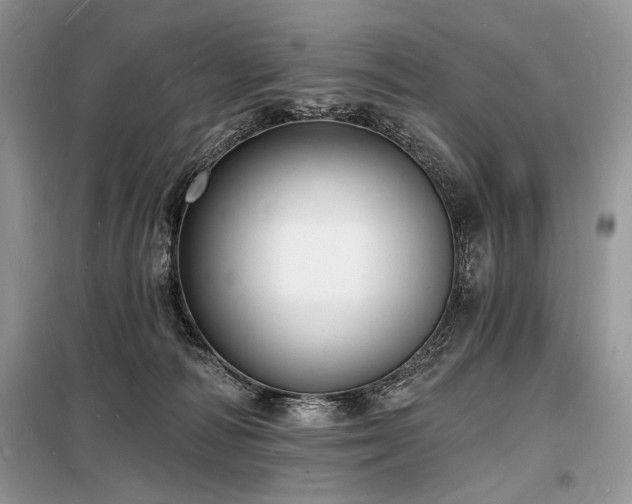 X0000098230226200804241348