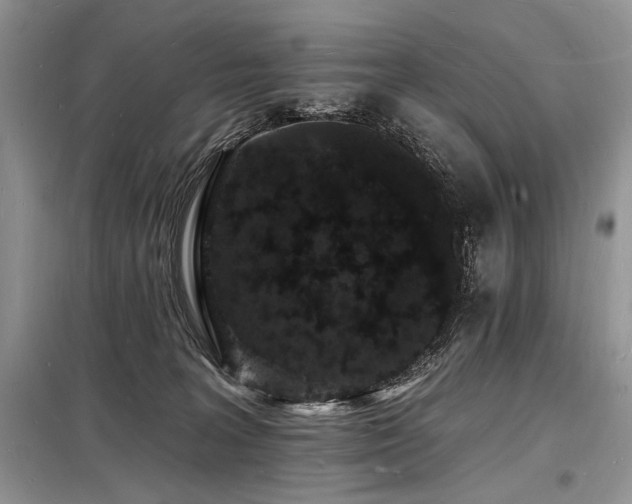 X0000098230227200804241348