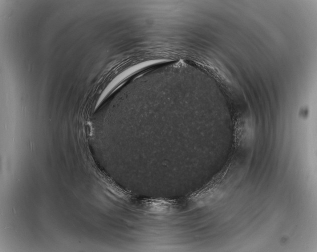 X0000098230229200804241348