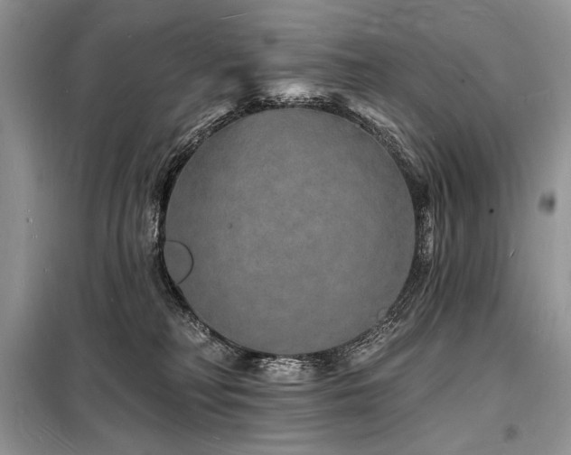 X0000098230230200804241348