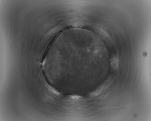 X0000098230233200804241347