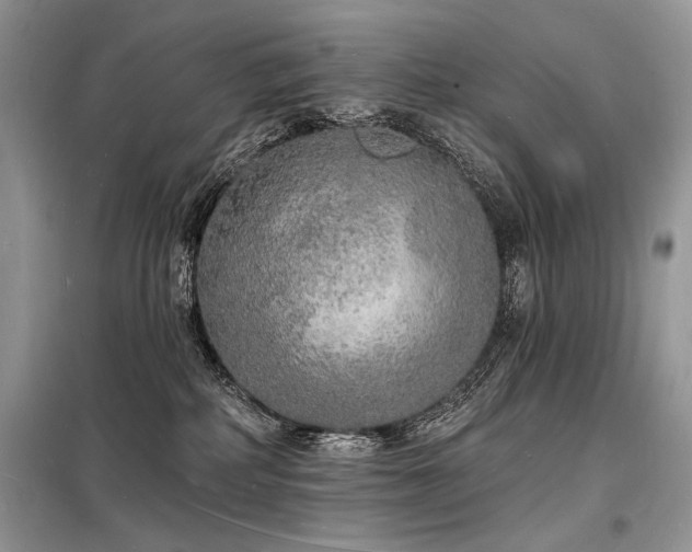 X0000098230234200804241347