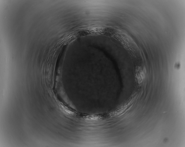 X0000098230235200804241347