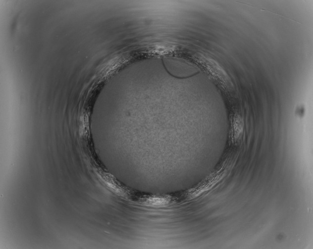 X0000098230236200804241347