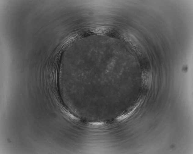 X0000098230237200804241347