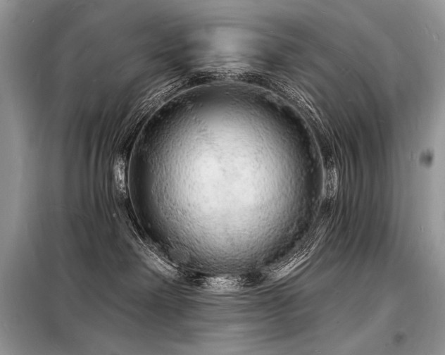 X0000098230238200804241347