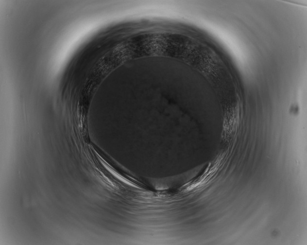 X0000098230239200804241347