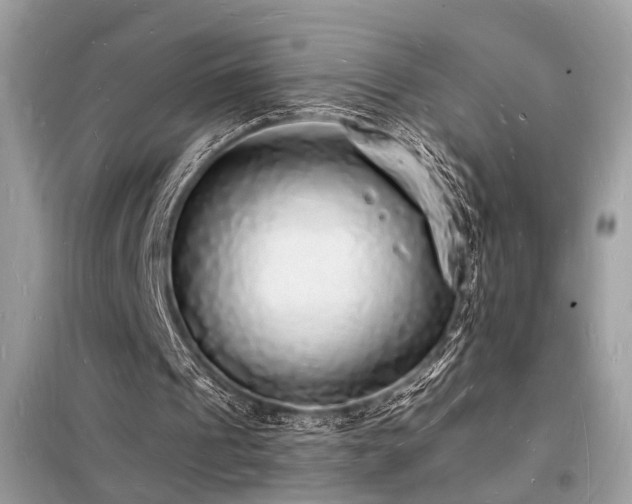X0000098230241200804241347