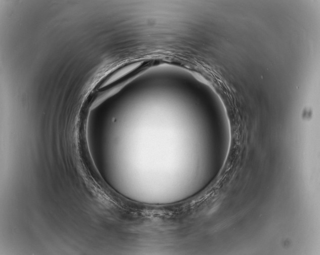 X0000098230242200804241347
