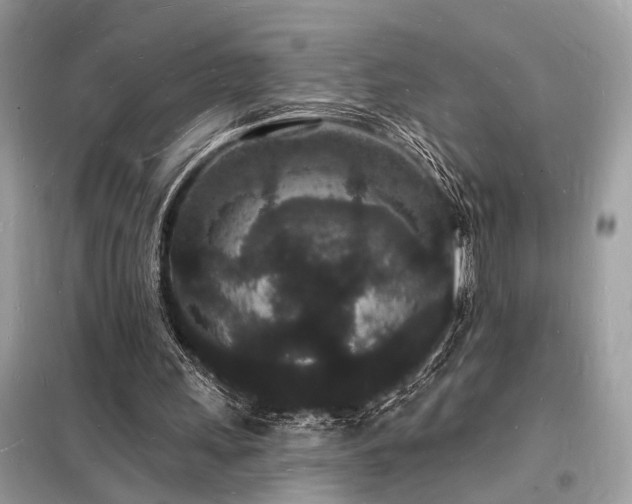 X0000098230243200804241347
