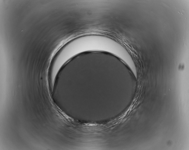 X0000098230244200804241347