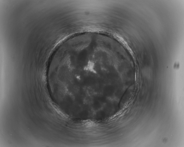 X0000098230249200804241347