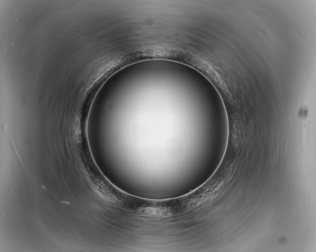X0000098230251200804241347