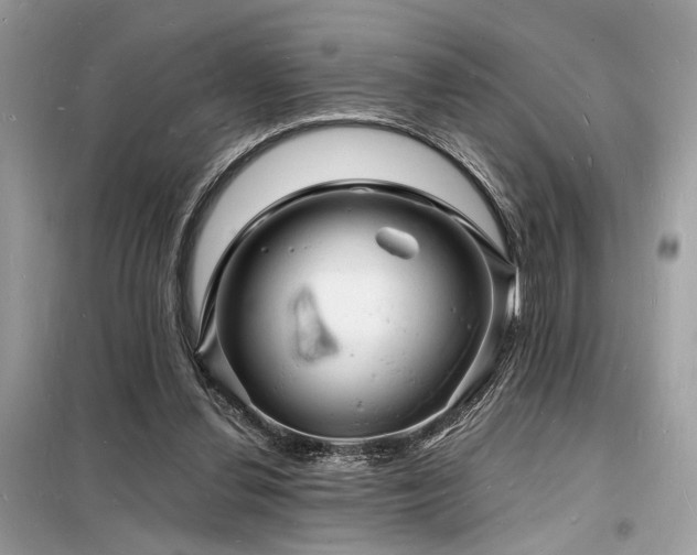 X0000098230252200804241347