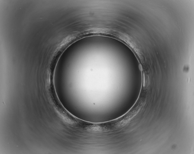 X0000098230253200804241347