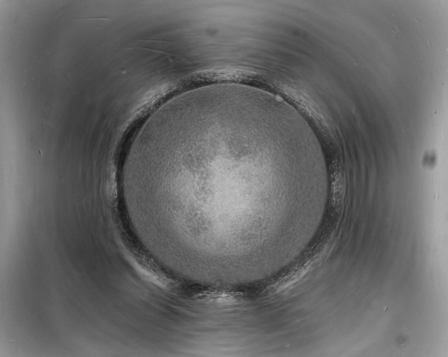 X0000098230254200804241347