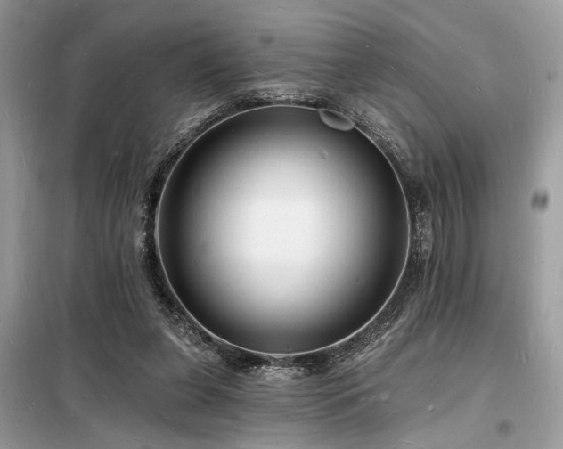 X0000098230255200804241347
