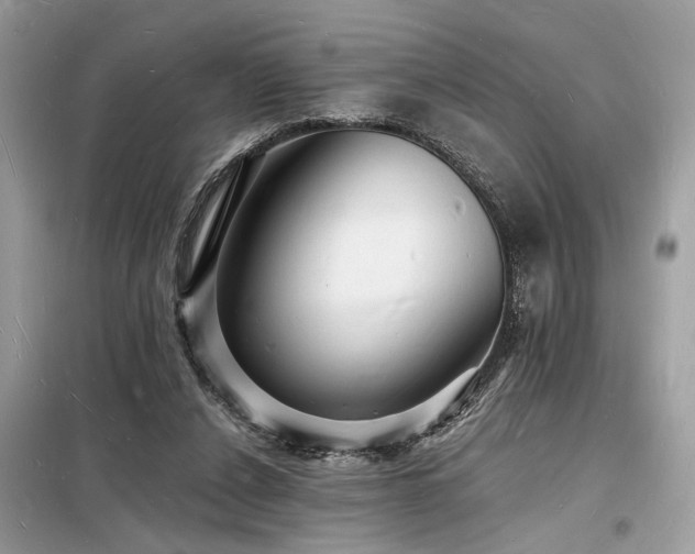 X0000098230256200804241347