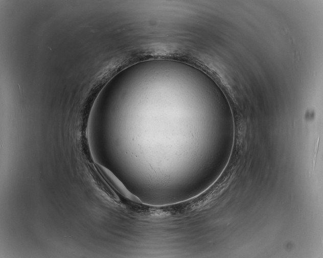 X0000098230257200804241347