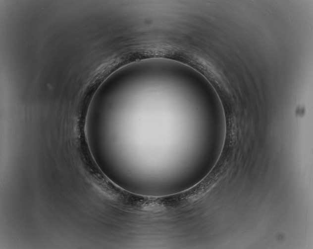 X0000098230258200804241347