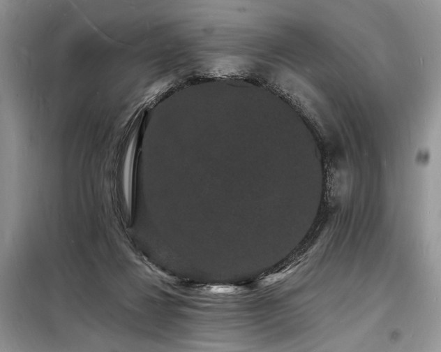 X0000098230260200804241347