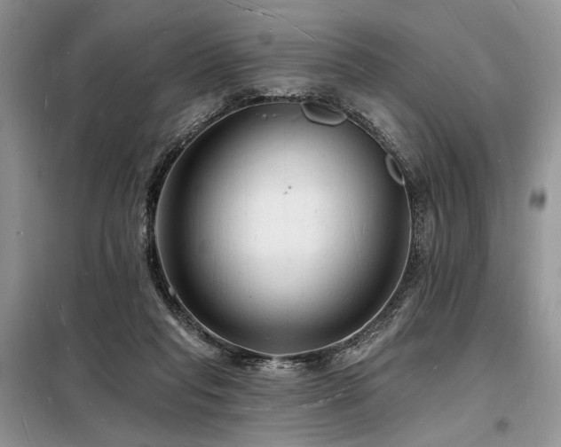 X0000098230261200804241347