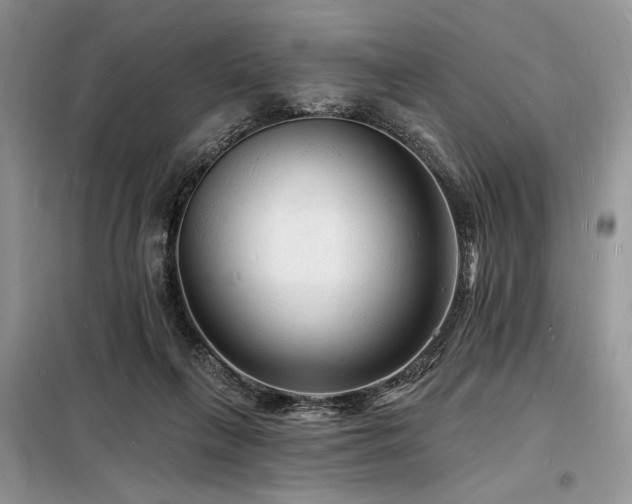 X0000098230263200804241347