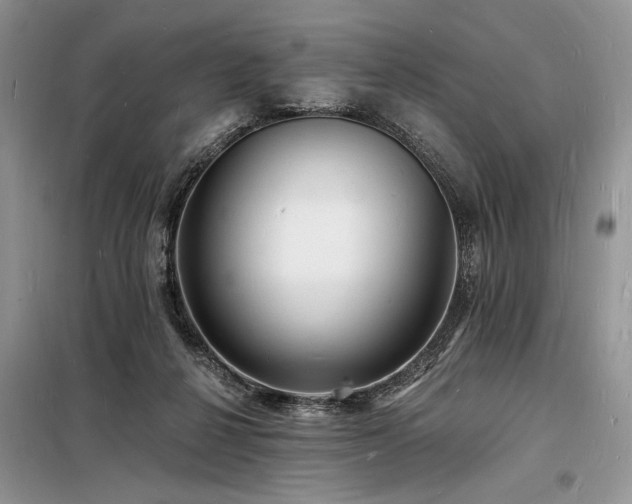 X0000098230264200804241347