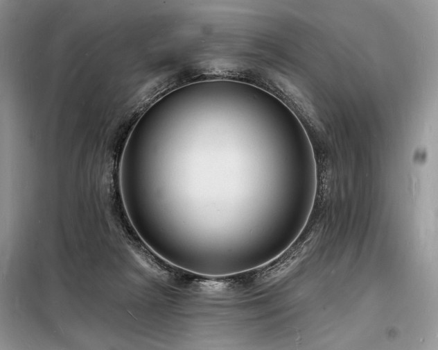 X0000098230265200804241347