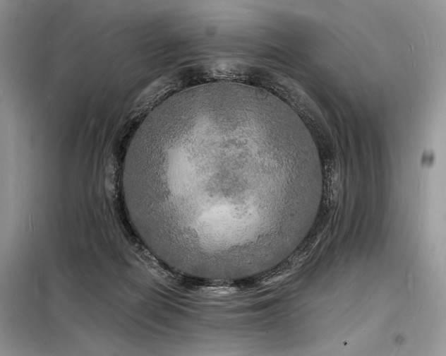 X0000098230266200804241347