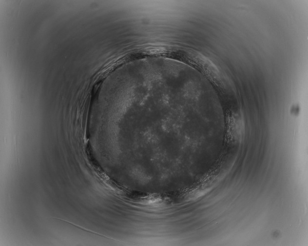 X0000098230267200804241347