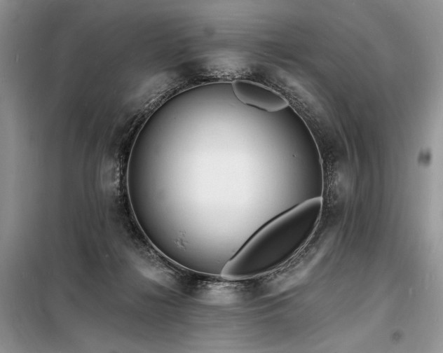 X0000098230268200804241347