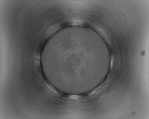 X0000098230269200804241347