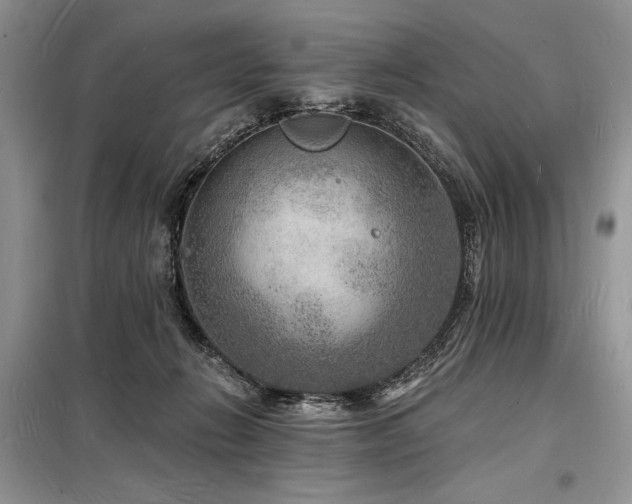 X0000098230270200804241347