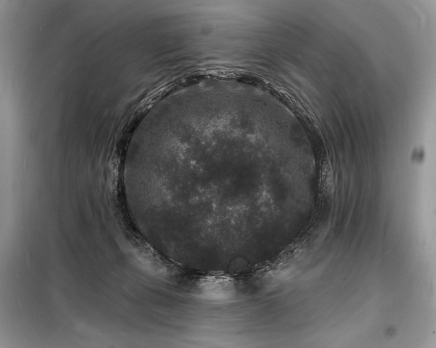 X0000098230271200804241347