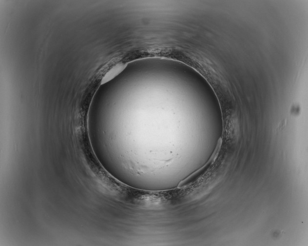 X0000098230272200804241347