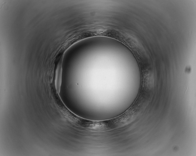X0000098230274200804241347