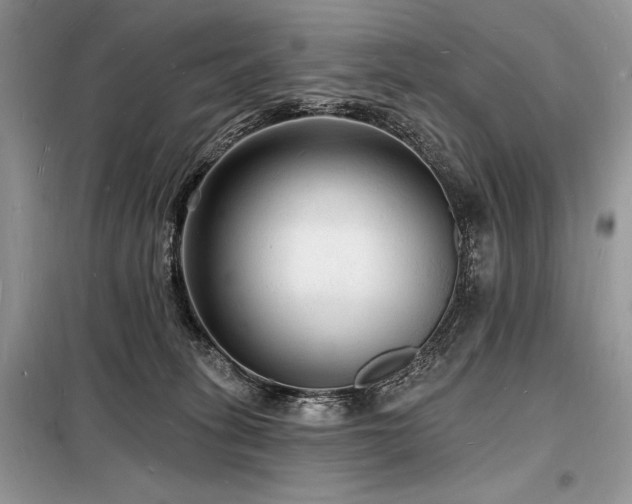 X0000098230275200804241347