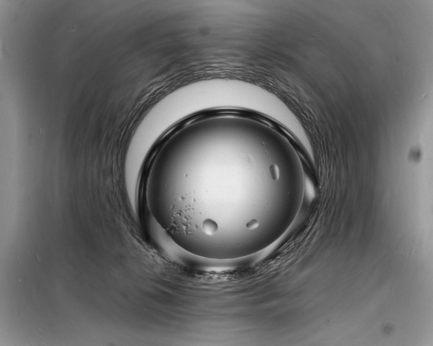 X0000098230276200804241347