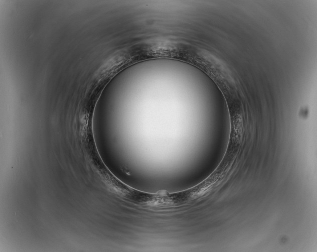 X0000098230278200804241347