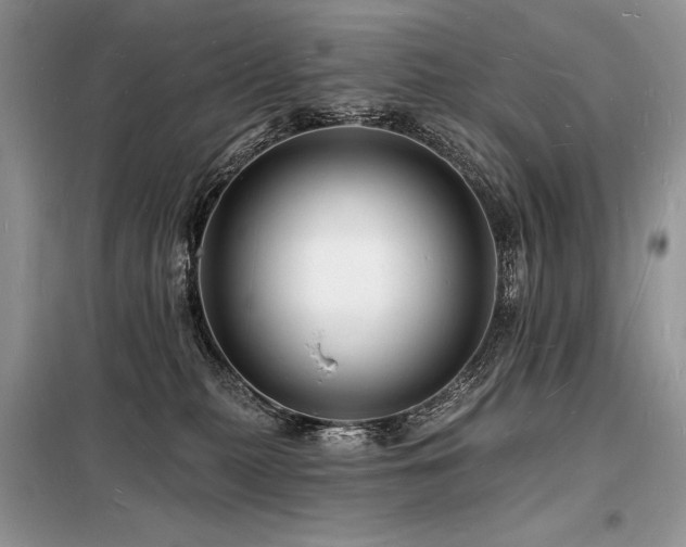 X0000098230279200804241347
