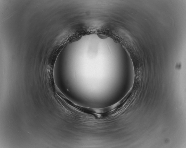 X0000098230280200804241347