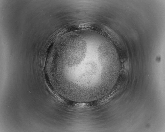 X0000098230281200804241347