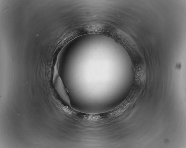 X0000098230282200804241347